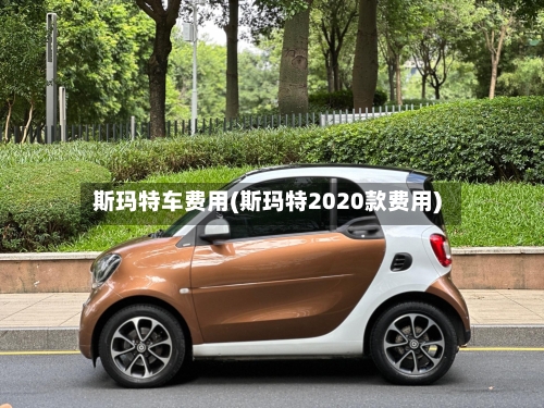 斯玛特车费用(斯玛特2020款费用)-第1张图片