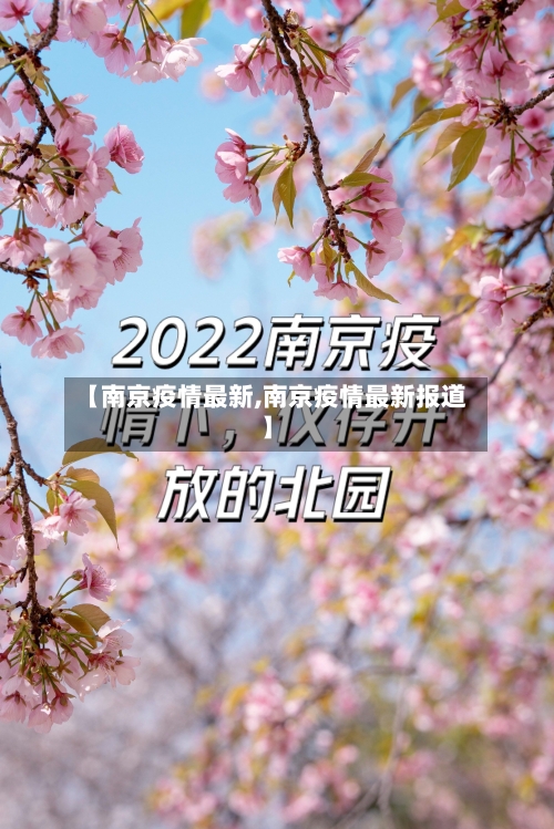 【南京疫情最新,南京疫情最新报道】-第1张图片