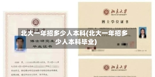 北大一年招多少人本科(北大一年招多少人本科毕业)-第1张图片