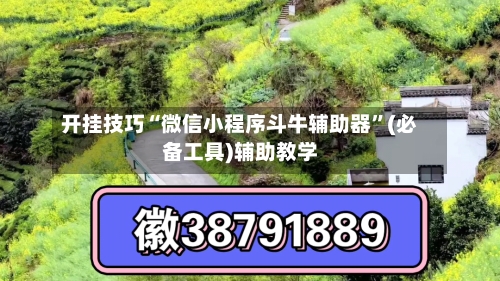 开挂技巧“微信小程序斗牛辅助器”(必备工具)辅助教学-第1张图片