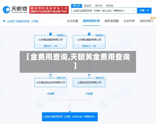 【金费用查询,天眼黄金费用查询】-第1张图片
