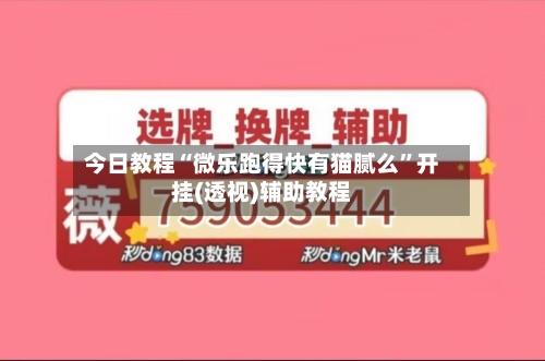 今日教程“微乐跑得快有猫腻么”开挂(透视)辅助教程-第1张图片