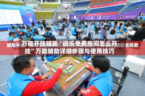 万能开挂辅助“微乐免费房间怎么开挂”万能辅助详细步骤与使用技巧-第2张图片
