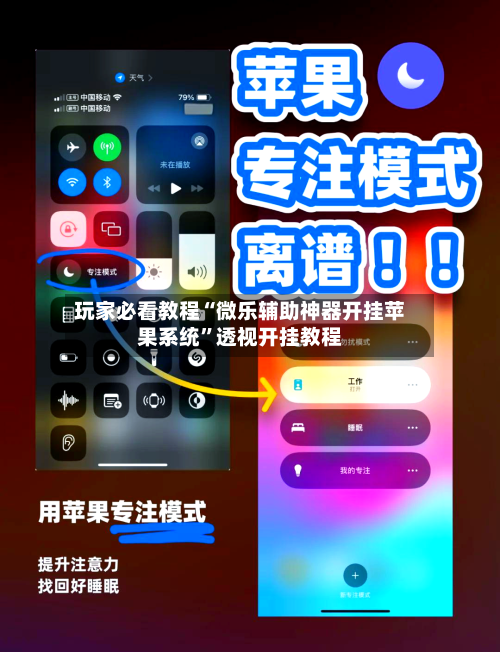 玩家必看教程“微乐辅助神器开挂苹果系统”透视开挂教程-第1张图片