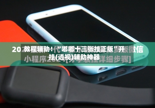 教程辅助！“嘟嘟十三张挂正版	”开挂(透视)辅助神器-第1张图片