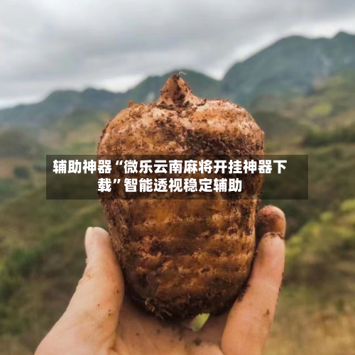 辅助神器“微乐云南麻将开挂神器下载”智能透视稳定辅助-第1张图片