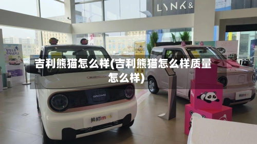 吉利熊猫怎么样(吉利熊猫怎么样质量怎么样)-第1张图片