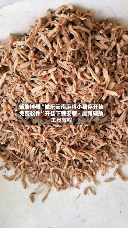 辅助神器“微乐云南麻将小程序开挂免费软件”开挂下载安装 - 最新辅助工具教程-第1张图片