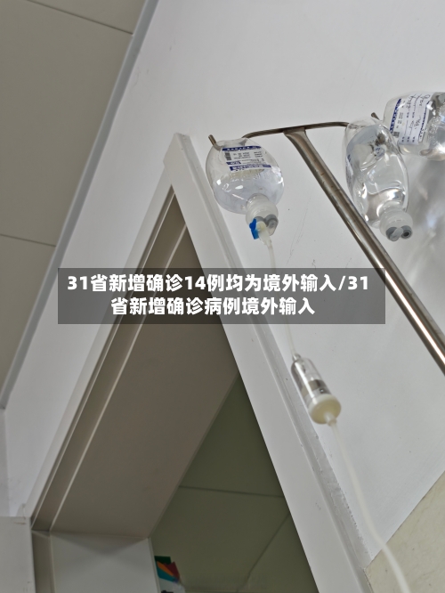 31省新增确诊14例均为境外输入/31省新增确诊病例境外输入
