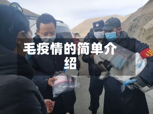 毛疫情的简单介绍-第1张图片