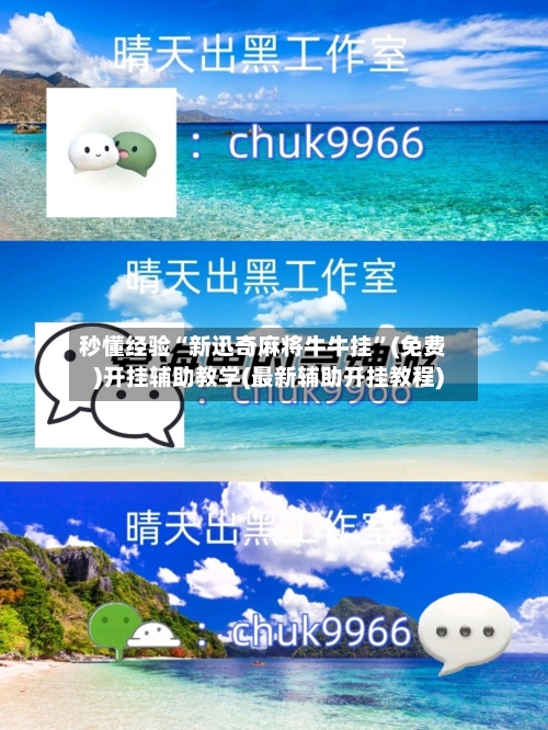 秒懂经验“新迅奇麻将牛牛挂	”(免费)开挂辅助教学(最新辅助开挂教程)-第1张图片