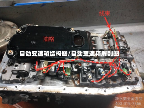 自动变速箱结构图/自动变速箱解剖图-第1张图片