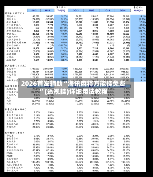 2026首发辅助“海讯麻将万能挂免费”(透视挂)详细用法教程-第1张图片