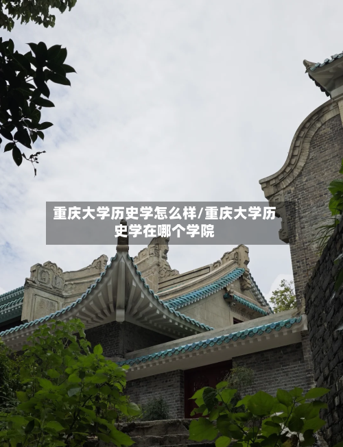 重庆大学历史学怎么样/重庆大学历史学在哪个学院-第1张图片