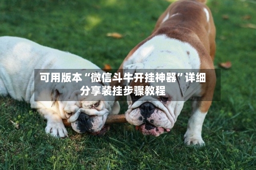 可用版本“微信斗牛开挂神器	”详细分享装挂步骤教程-第1张图片