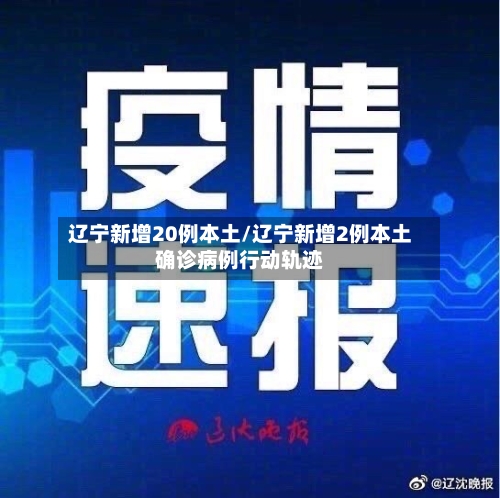 辽宁新增20例本土/辽宁新增2例本土确诊病例行动轨迹-第1张图片