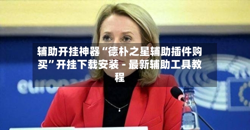 辅助开挂神器“德朴之星辅助插件购买	”开挂下载安装 - 最新辅助工具教程-第1张图片