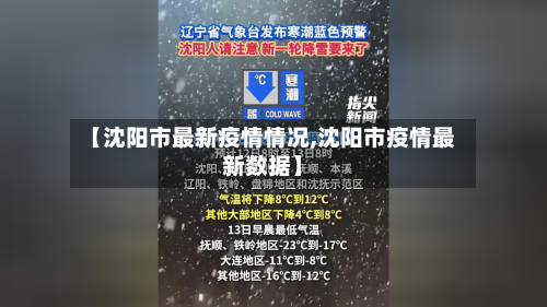 【沈阳市最新疫情情况,沈阳市疫情最新数据】-第3张图片