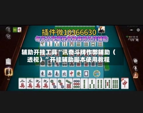 辅助开挂工具“讯奇斗牌作弊辅助（透视）	”开挂辅助脚本使用教程-第2张图片