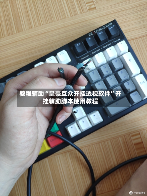 教程辅助“皇豪互众开挂透视软件”开挂辅助脚本使用教程-第2张图片