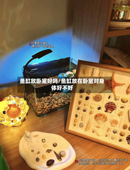 鱼缸放卧室好吗/鱼缸放在卧室对身体好不好-第1张图片