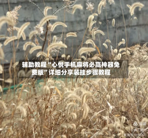 辅助教程“心悦手机麻将必赢神器免费版”详细分享装挂步骤教程-第1张图片