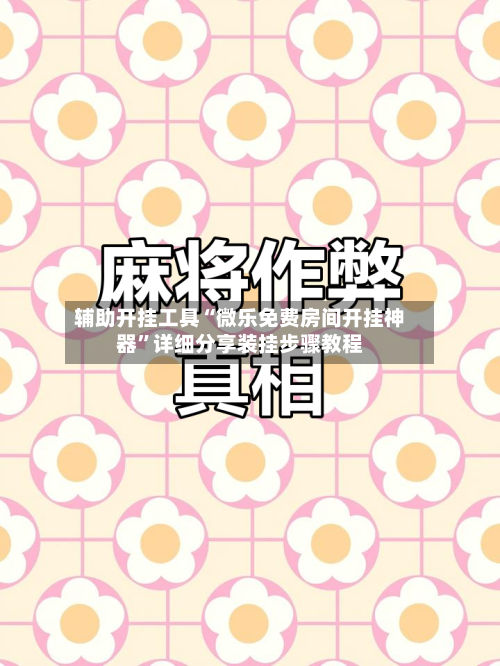 辅助开挂工具“微乐免费房间开挂神器”详细分享装挂步骤教程-第1张图片
