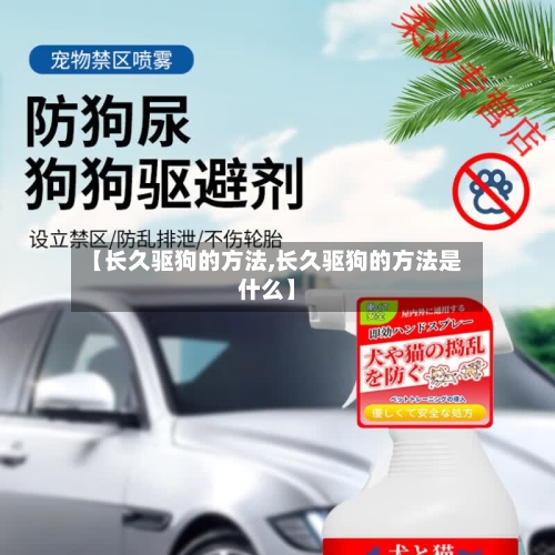 【长久驱狗的方法,长久驱狗的方法是什么】-第1张图片