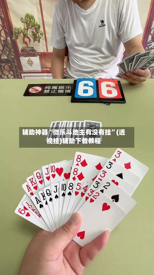 辅助神器“微乐斗地主有没有挂	”(透视挂)辅助下载教程-第1张图片