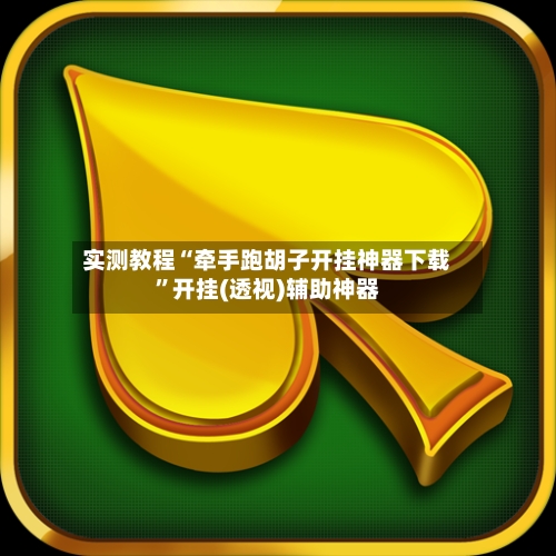 实测教程“牵手跑胡子开挂神器下载”开挂(透视)辅助神器-第1张图片