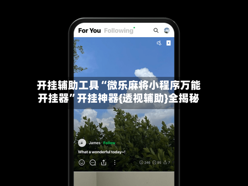 开挂辅助工具“微乐麻将小程序万能开挂器	”开挂神器{透视辅助}全揭秘-第3张图片