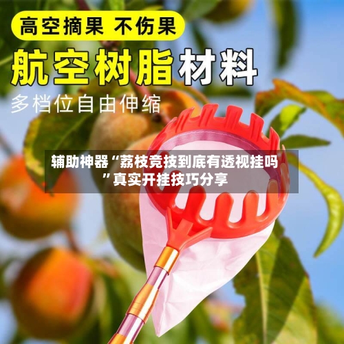 辅助神器“荔枝竞技到底有透视挂吗”真实开挂技巧分享-第2张图片