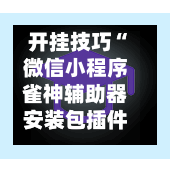 开挂技巧“微信小程序雀神辅助器安装包插件	”科技辅助神器手机版教程-第2张图片