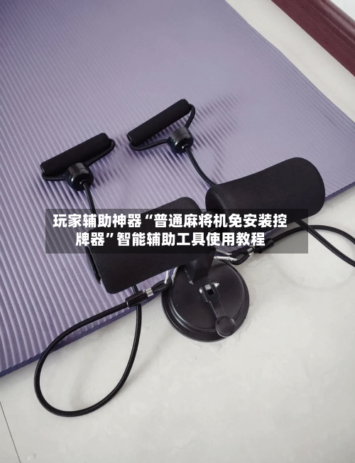 玩家辅助神器“普通麻将机免安装控牌器”智能辅助工具使用教程-第3张图片