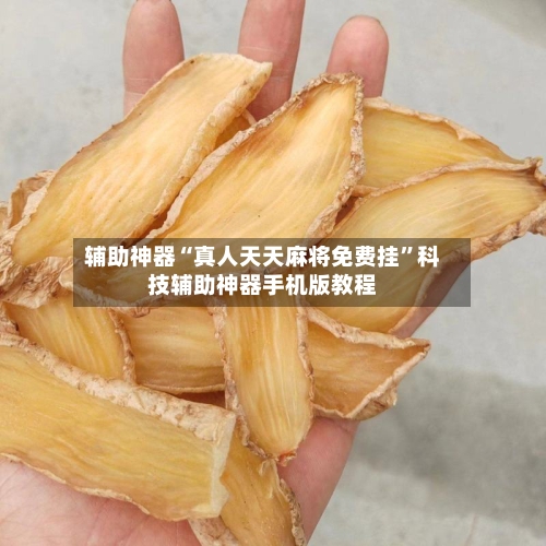 辅助神器“真人天天麻将免费挂”科技辅助神器手机版教程-第1张图片
