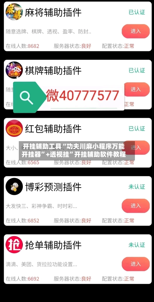 开挂辅助工具“功夫川麻小程序万能开挂器”+透视挂”开挂辅助软件教程-第2张图片