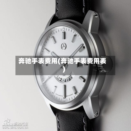 奔驰手表费用(奔驰手表费用表)-第1张图片