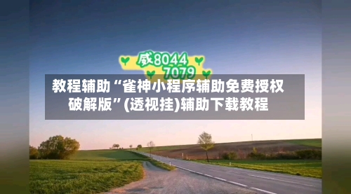 教程辅助“雀神小程序辅助免费授权破解版”(透视挂)辅助下载教程-第2张图片