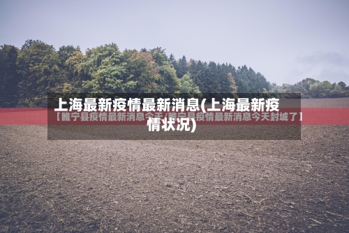 上海最新疫情最新消息(上海最新疫情状况)-第2张图片