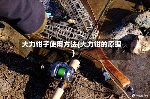 大力钳子使用方法(大力钳的原理)-第1张图片