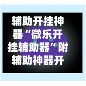 辅助开挂神器“微乐开挂辅助器”附辅助神器开挂脚本详细步骤-第1张图片