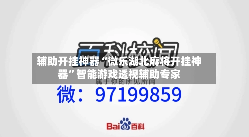 辅助开挂神器“微乐湖北麻将开挂神器”智能游戏透视辅助专家-第2张图片