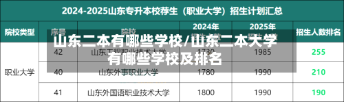 山东二本有哪些学校/山东二本大学有哪些学校及排名-第1张图片