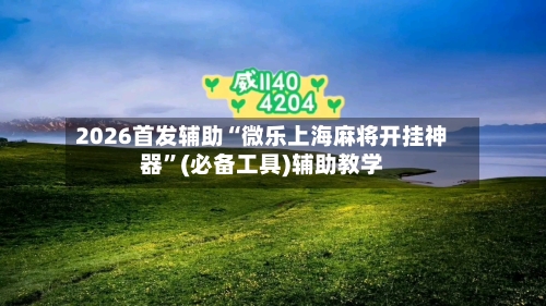 2026首发辅助“微乐上海麻将开挂神器”(必备工具)辅助教学-第3张图片