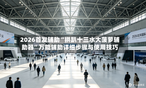 2026首发辅助“拱趴十三水大菠萝辅助器”万能辅助详细步骤与使用技巧-第1张图片