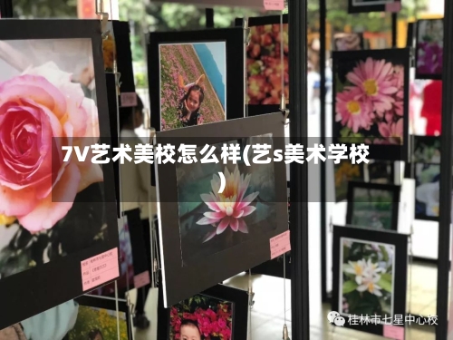 7V艺术美校怎么样(艺s美术学校)-第1张图片
