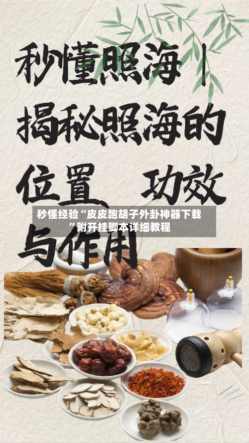 秒懂经验“皮皮跑胡子外卦神器下载	”附开挂脚本详细教程-第1张图片