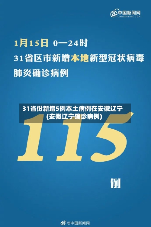 31省份新增5例本土病例在安徽辽宁(安徽辽宁确诊病例)-第1张图片