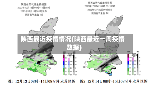 陕西最近疫情情况(陕西最近一周疫情数据)-第3张图片
