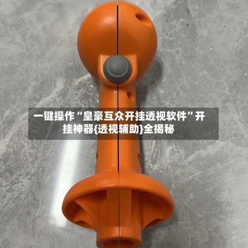 一键操作“皇豪互众开挂透视软件”开挂神器{透视辅助}全揭秘-第1张图片